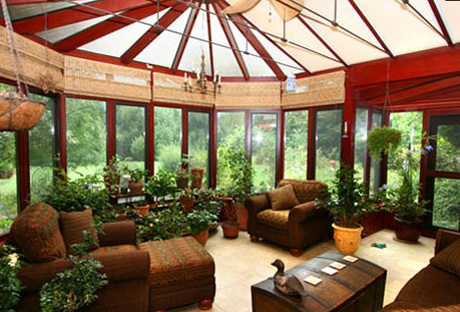 Sunroom Potted Plants