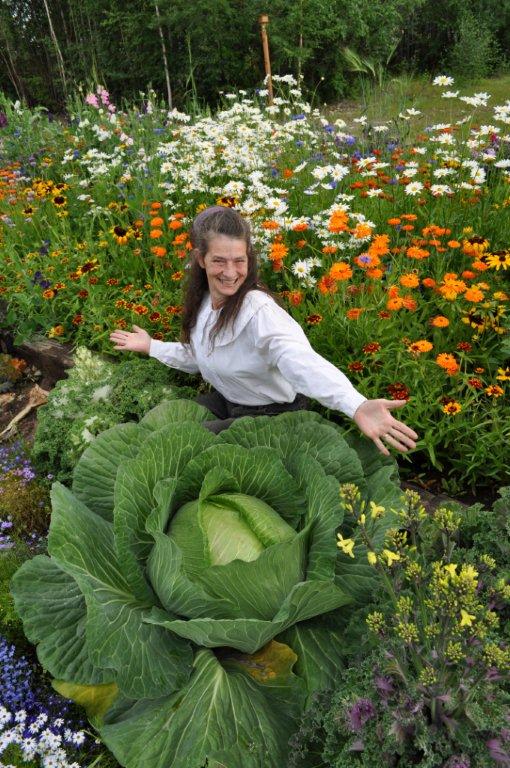 Growing a Huge Cabbage in the Garden