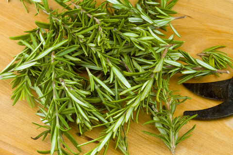 Herb Garden - Rosemary