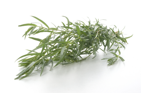 Herb Garden - Tarragon