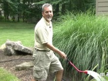 Video - July Watering Video - July Watering
