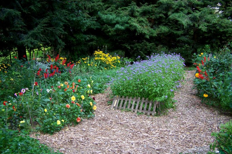 Mulch Pathways