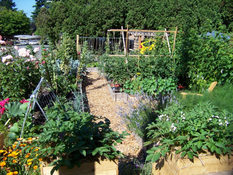 Herb Garden