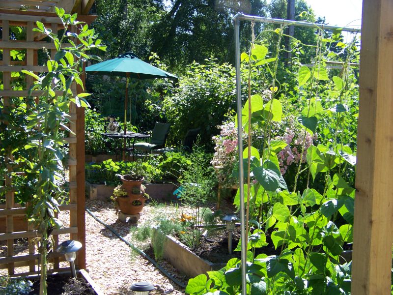 Potager Garden Ideas