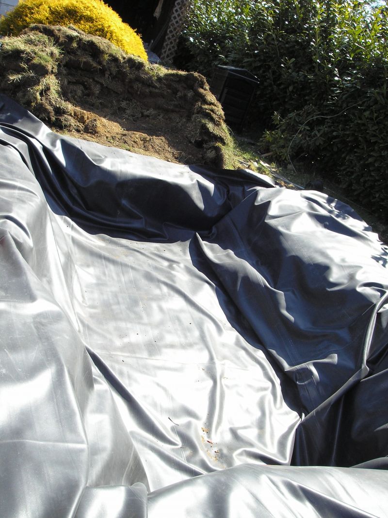 Install Liner for the Pond Install Liner for the Pond