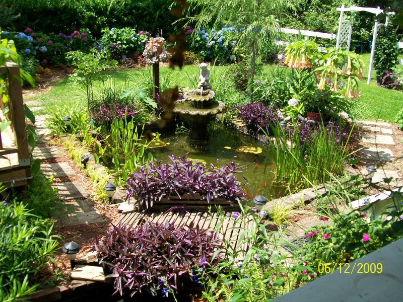 Koi And Goldfish Pond Tips | Yard Ideas Blog | YardShare.com