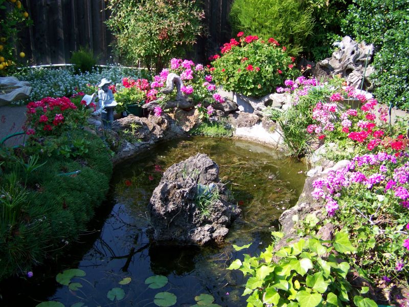 Garden Pond Ideas