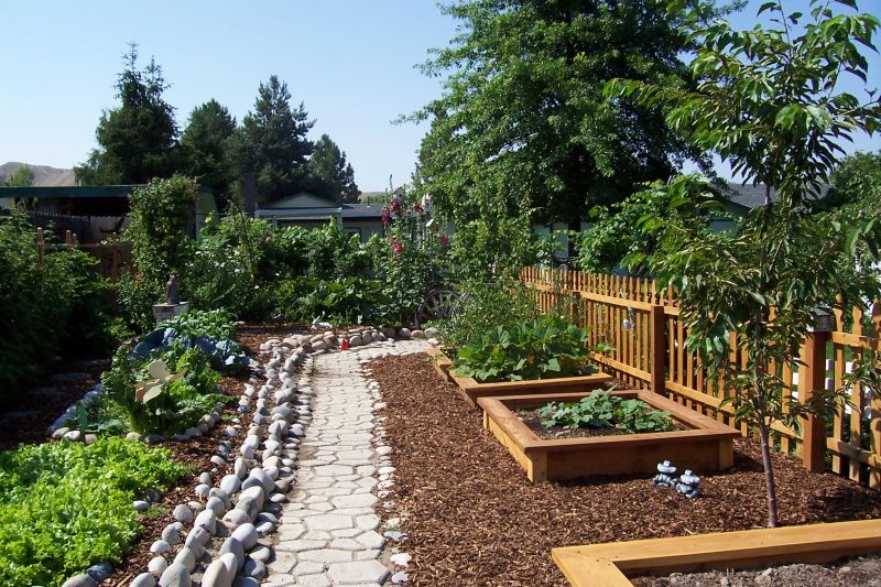 Vegetable Garden Pathway