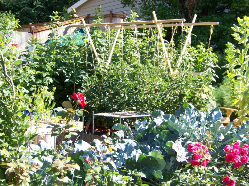 Ornamental Potager Garden Ideas