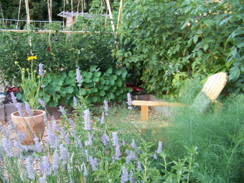 Potager Garden