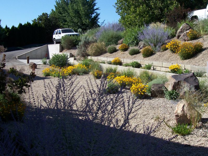 Water-wise landscaping