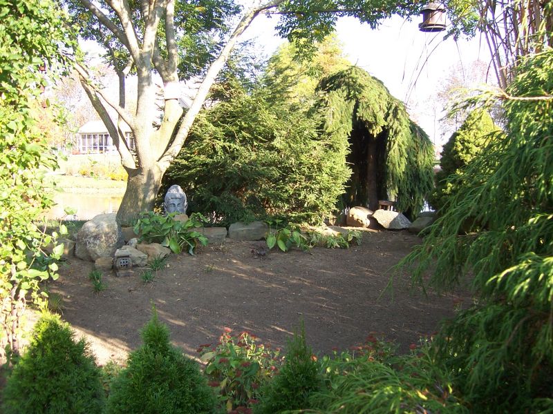 Zen Garden Trees