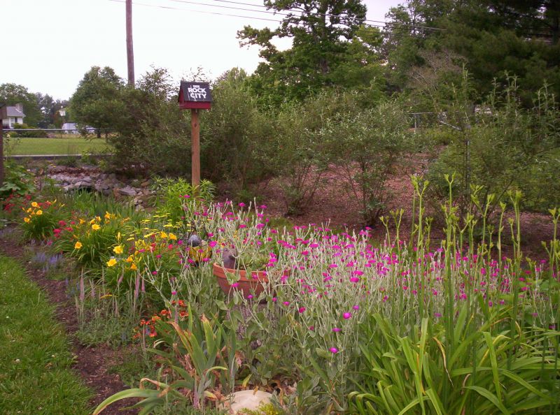 Ditch Garden at Drain Culvert