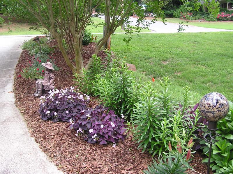 Remove the old mulch and add new Remove the old mulch and add new