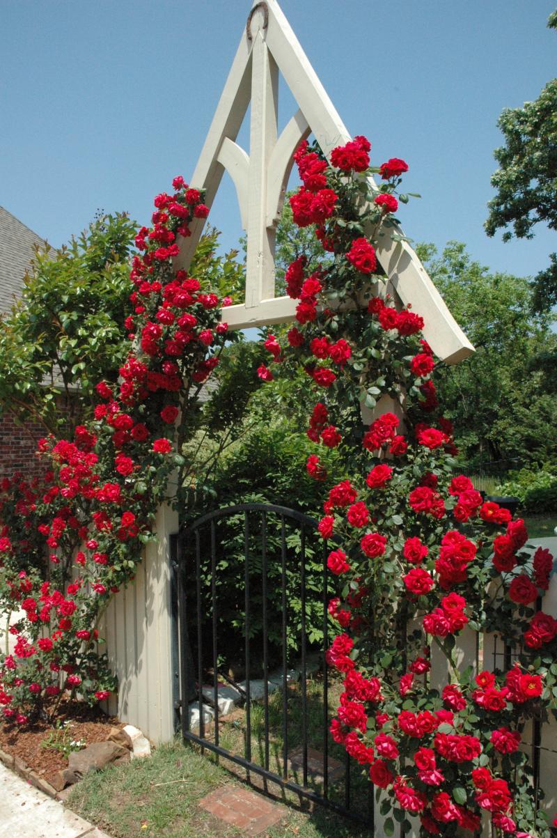 Garden Gate Entry