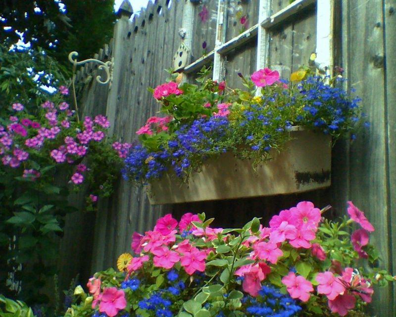 Plastic Window Boxes