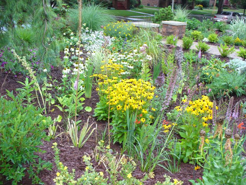 Rain Garden