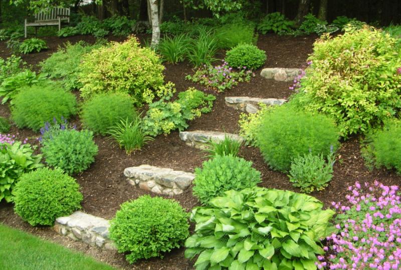 Front Yard Hill Landscaping Ideas