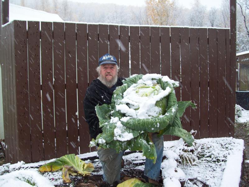 Gary and the huge cabbage