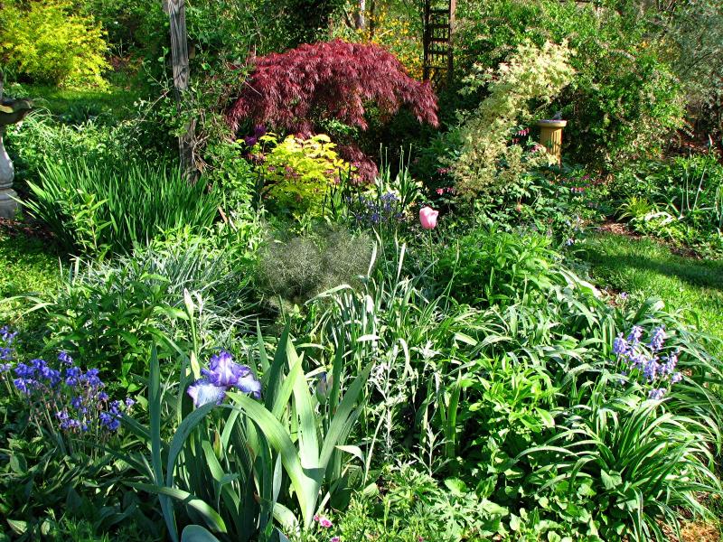 How To Create a Cottage Garden