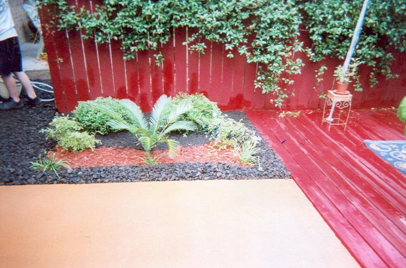 Contrasting colors can make for a one of a kind landscape