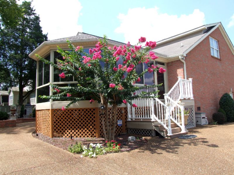 Crape Myrtle by Sunroom