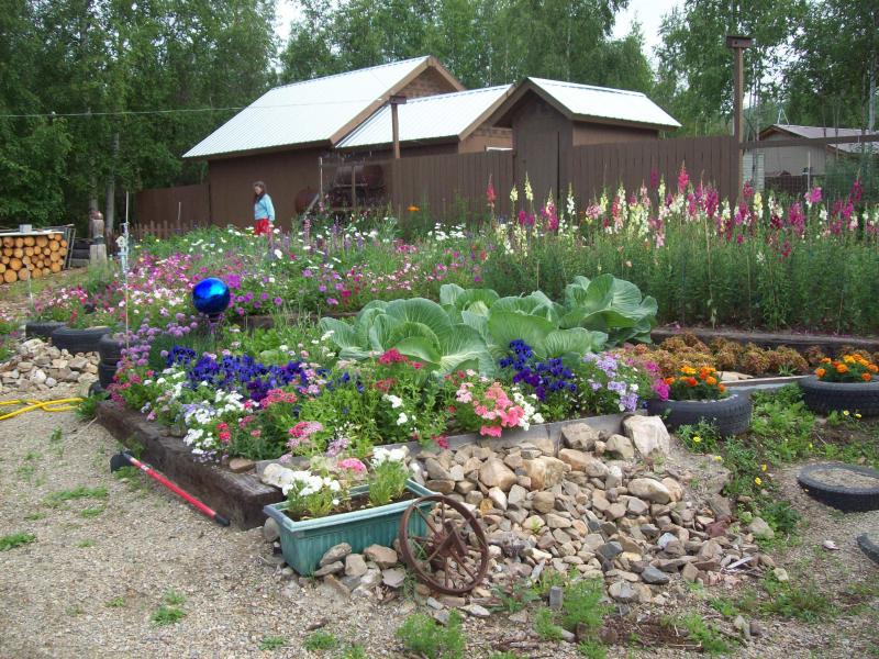 Alaska Potager Garden