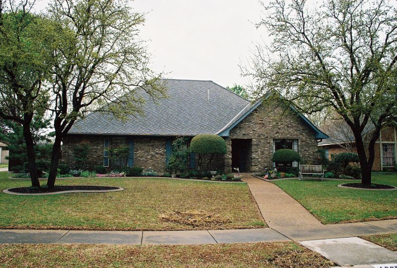 Stately Oak Trees Frame the Landscape