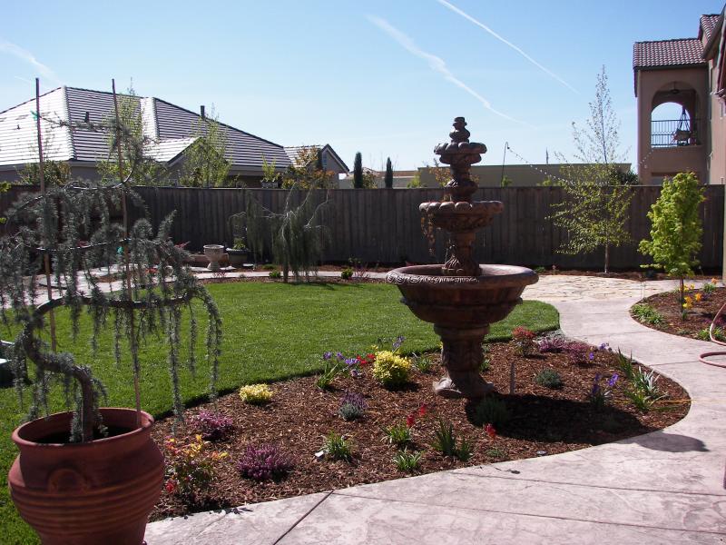 Bent container tree provides style to the landscape