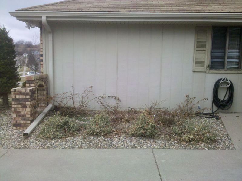Yard Landscaping Pictures & Ideas: home