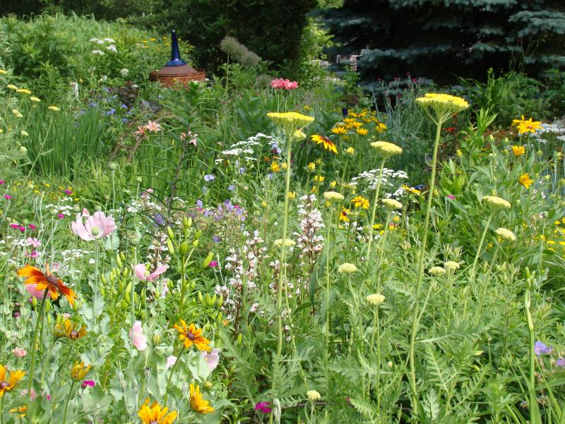 Colorful flowers in a Cottage Garden