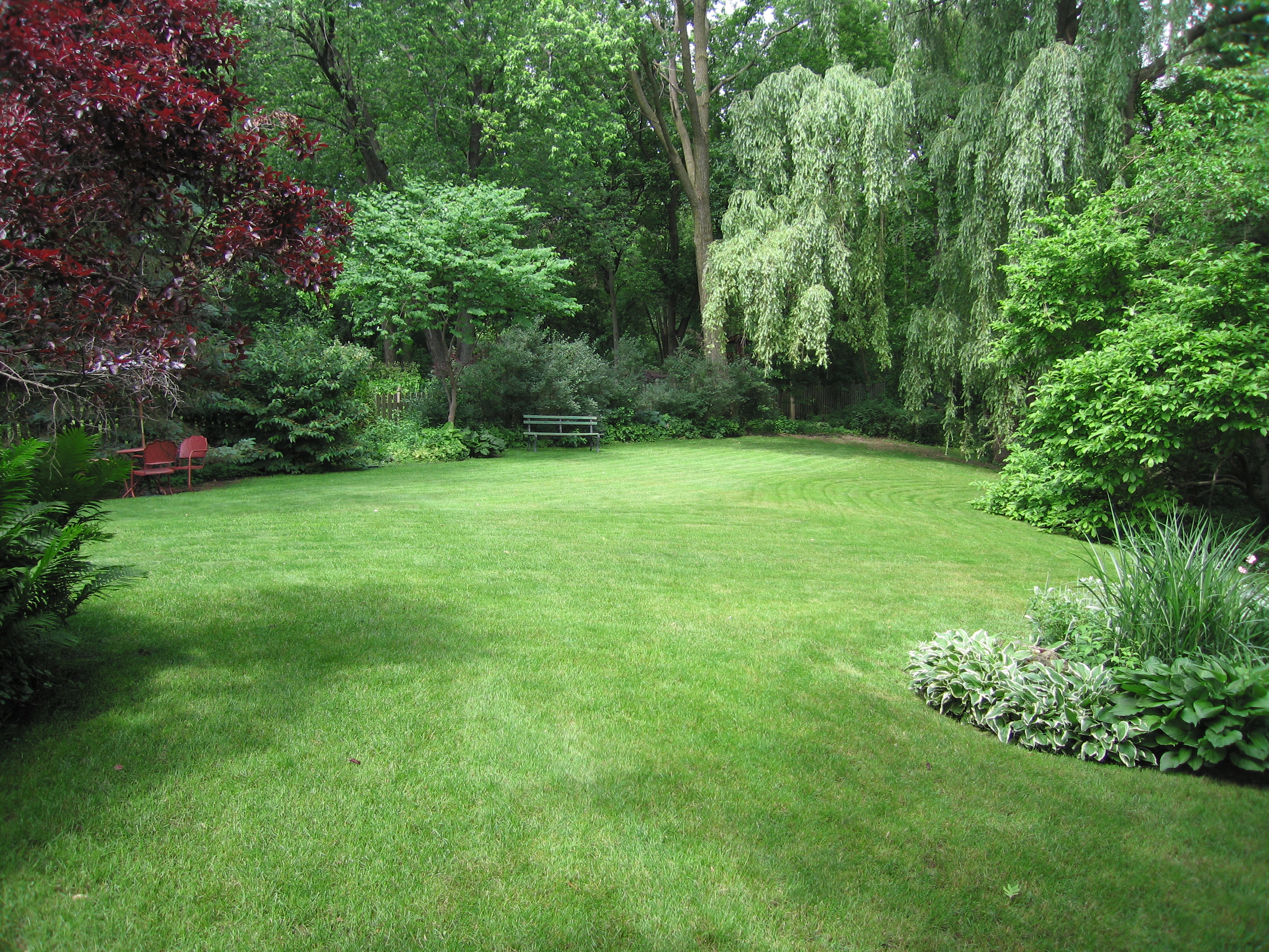 Featured image of post Cheap Large Backyard Landscaping Ideas : Developing backyard landscaping ideas can seem like a big project, but coming up with great backyard landscaping designs doesn&#039;t have to overwhelm.