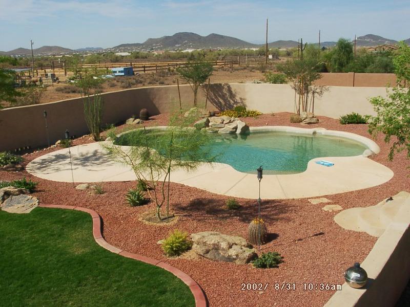 Desert Landscaping around Pool