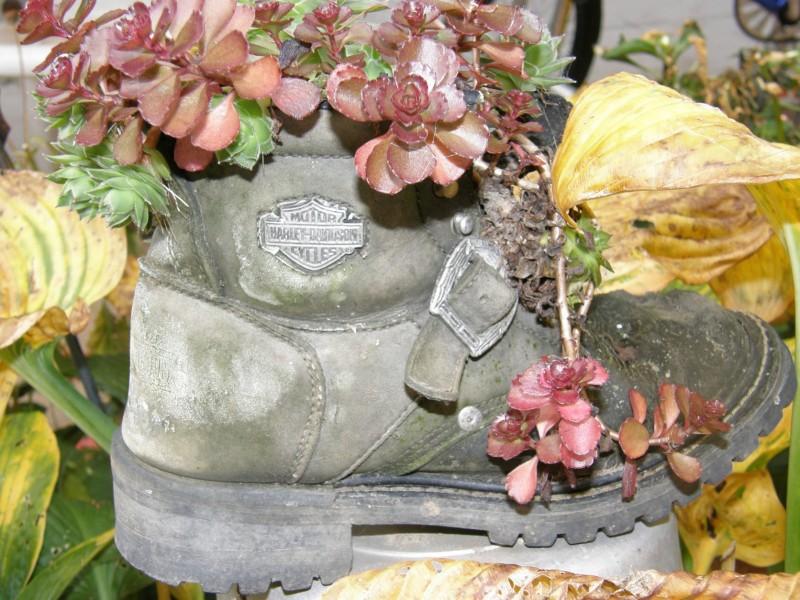 Old Shoe Flower Container Old Shoe Flower Container
