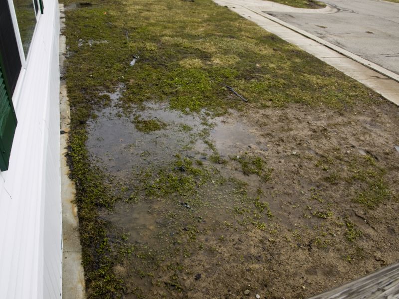 Good Drainage Could Transform This Disaster Zone | Yard ...