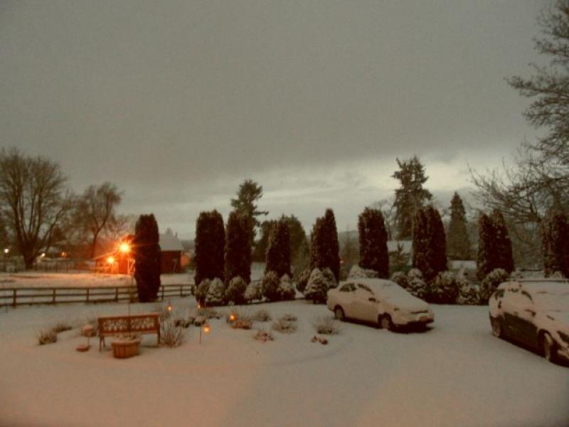 Landscape Lighting in the Snow