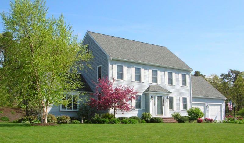 Trees with color provide focal point in landscape