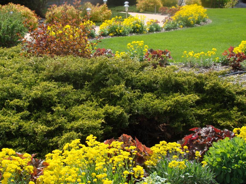 Gardens for Seniors