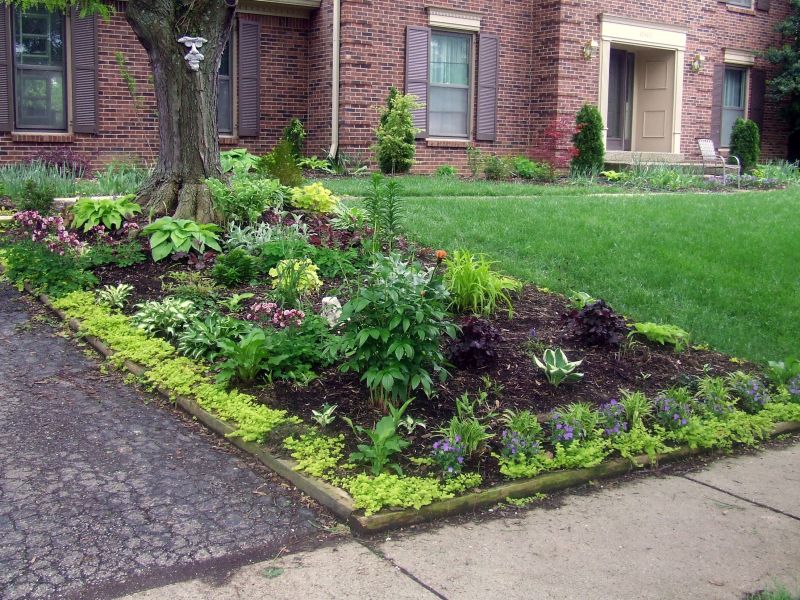Divide and transplant your plants Divide and transplant your plants