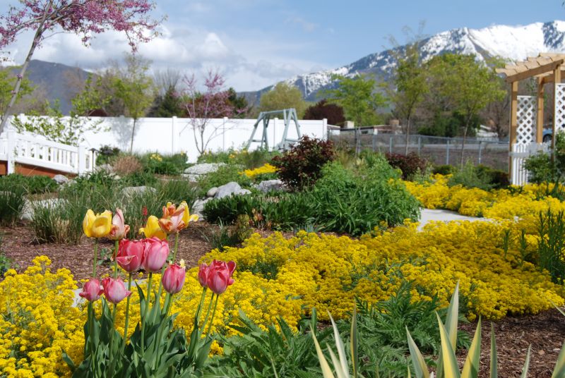 Gardening for Seniors