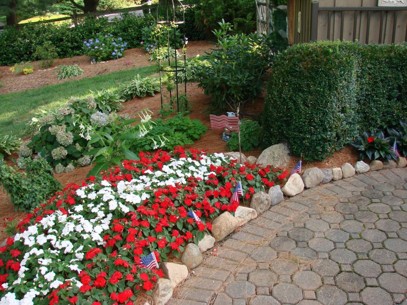 Add Color to Your Garden Using Annuals Add Color to Your Garden Using Annuals