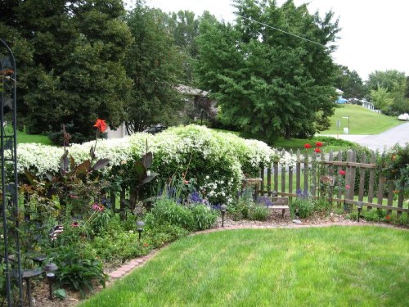 On the Fence Dressing Up Your Boundaries | Yard Ideas Blog ...
