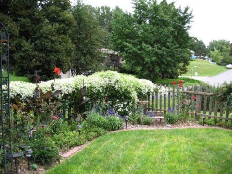 Wood Picket Fence Picture