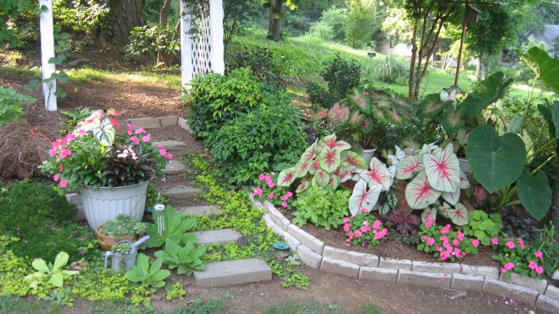 Simple Front Yard Landscaping Ideas