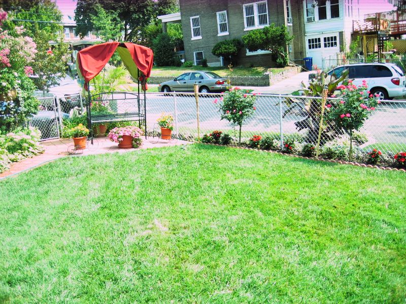 Landscaping Along A Chain Link Fence - I.e., if you have some maiden