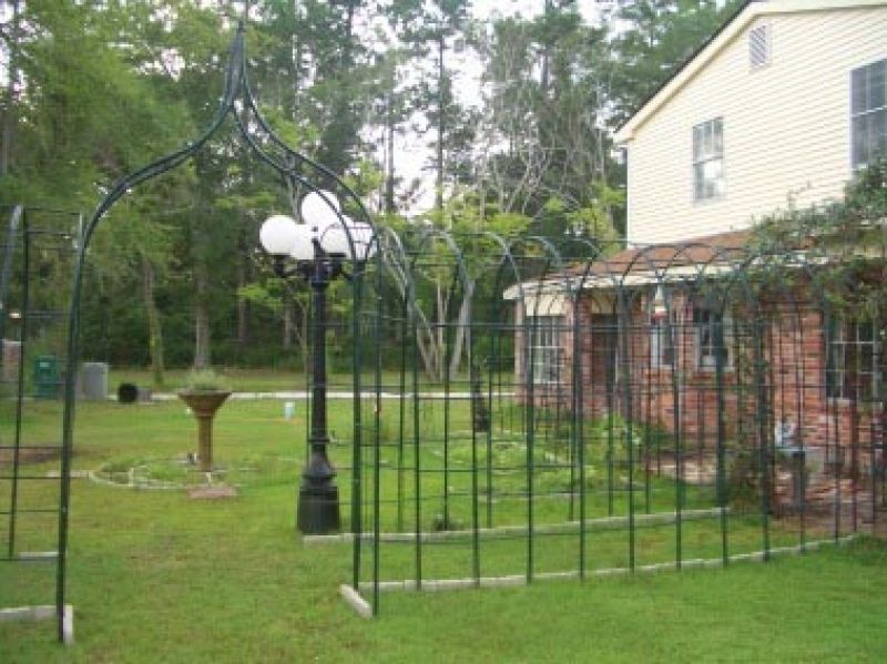 Arched Wire Frames for Climbing Plants