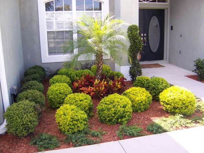 Green Shrubs brighten up a bland house wall