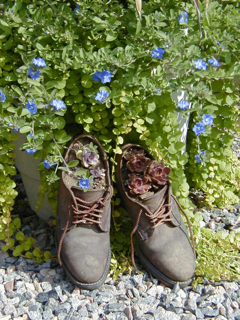Member Inspired Landscaping Ideas & Garden Ideas