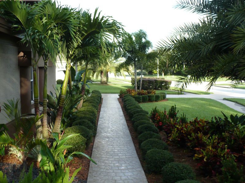 Stamped Concrete Front Yard Walkway