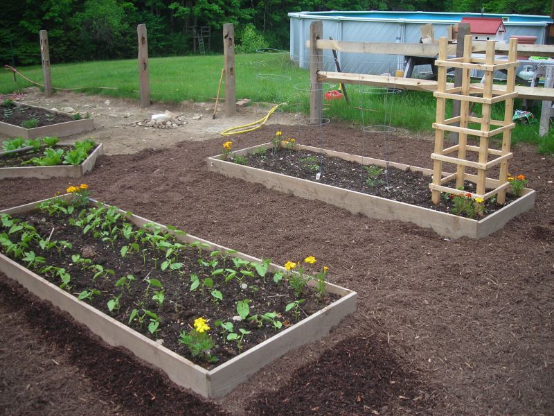 Southwell Potager Garden